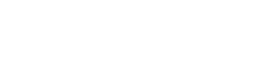 仕入れる鮮度抜群の魚